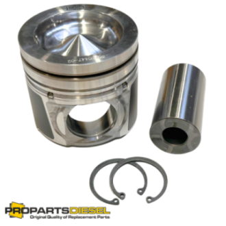 PISTON WITH PIN AND CLIPS...