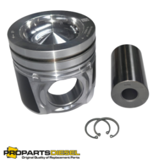 PISTON WITH PIN AND CLIPS...