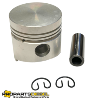 PISTON WITH PIN AND CLIPS...