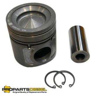 PISTON WITH PIN AND CLIPS...