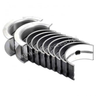 MAIN BEARINGS CASE...