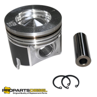 PISTON WITH PIN AND CLIPS...