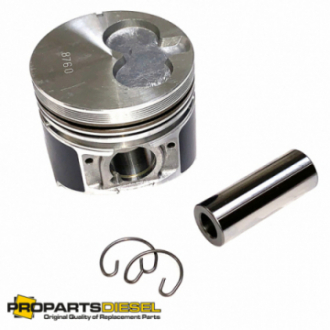 PISTON WITH PIN AND CLIPS...