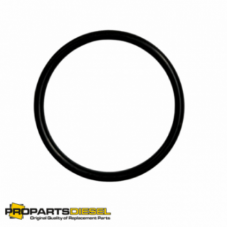 O-RING CUMMINS NT855