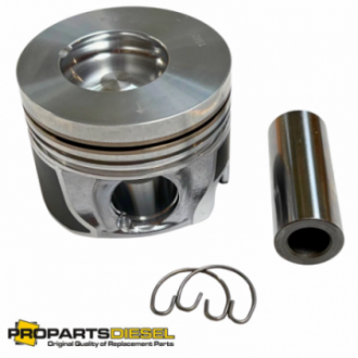PISTON WITH PIN AND CLIPS...