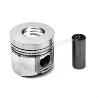 PISTON WITH PIN & CLIPS...