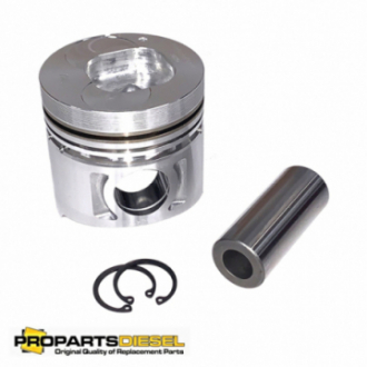 PISTON WITH PIN AND CLIPS...