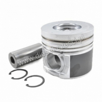 PISTON WITH PIN & CLIPS...