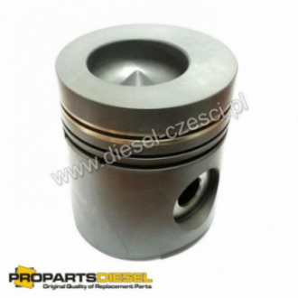 PISTON WITH PIN AND CLIPS...
