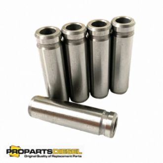 PROWADNICA ZAWOROWA IN / EX...