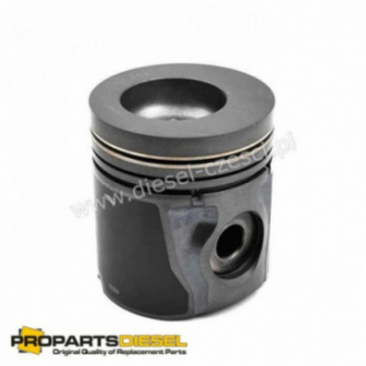 PISTON WITH PIN AND CLIPS...