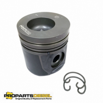 PISTON WITH PIN AND CLIPS...