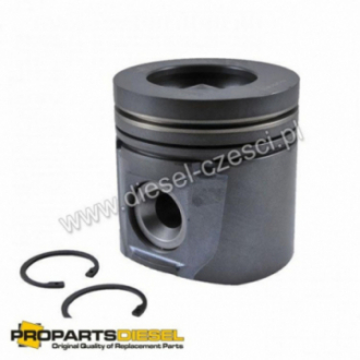 PISTON WITH PIN AND CLIPS...