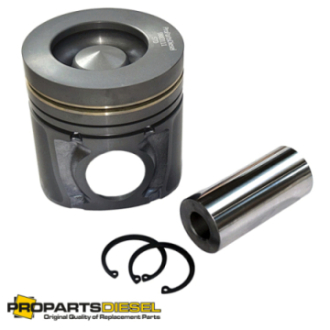 PISTON WITH PIN AND CLIPS...