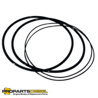 O-RING TULEI MWM D226 /...