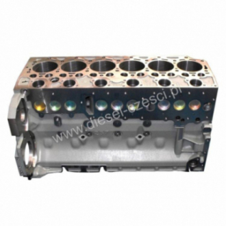 DEUTZ BF 6M 1013, ENGINE...