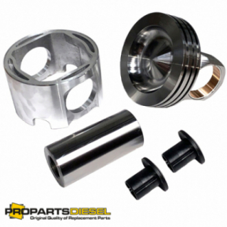 PISTON WITH PIN AND CLIPS...