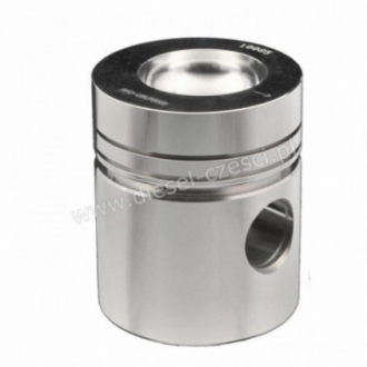 PISTON WITH PIN ANC CLIPS...
