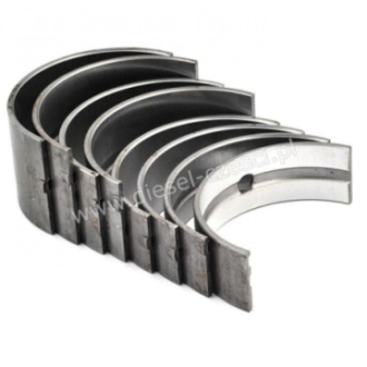 PANEWKI GŁÓWNE PERKINS...