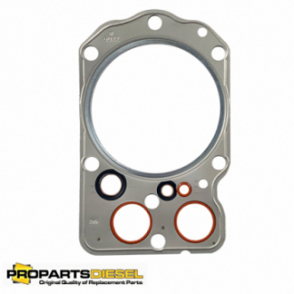 USZCZELKA GŁOWICY...