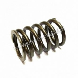 VALVE SPRING LIEBHERR