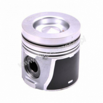 PISTON WITH PIN AND CLIPS...
