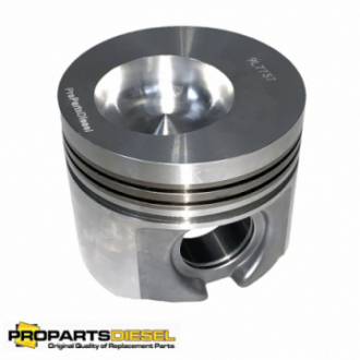 PISTON WITH PIN AND CLIPS...