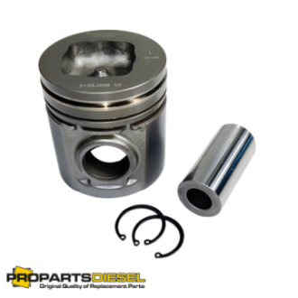 PISTON WITH PIN AND CLIPS...