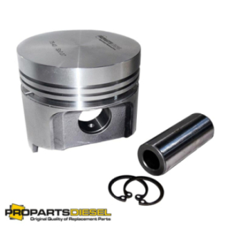 PISTON WITH PIN CLIPS...