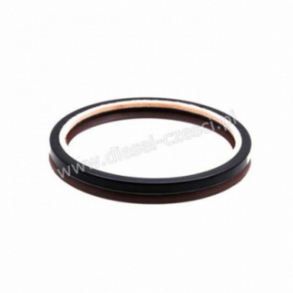 MWM, CRANKSHAFT REAR OIL SEAL