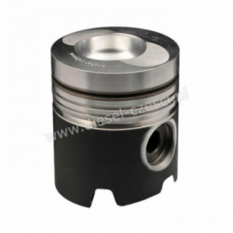 PISTON WITH PIN AND CLIPS...