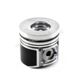 PISTON WITH PIN AND CLIPS -...