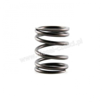 CATERPILLAR, VALVE SPRING