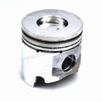 PISTON WITH PIN AND CLIPS...