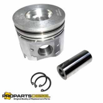PISTON WITH PIN AND CLIPS...