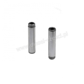 PROWADNICA ZAWOROWA EX...