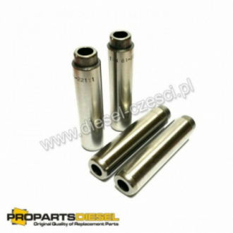 PROWADNICA ZAWOROWA IN / EX...