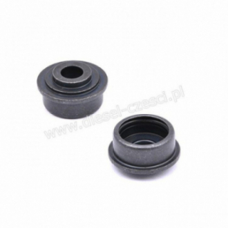 MISECZKA ZAWORU DEUTZ...