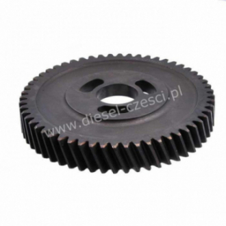 DEUTZ, INJECTION PUMP GEAR