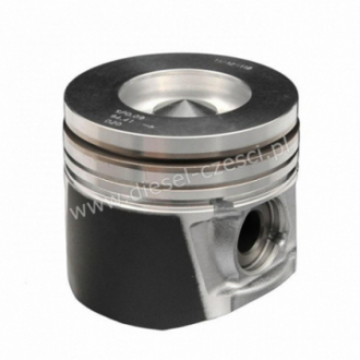 PISTON WITH PIN AND CLIPS...