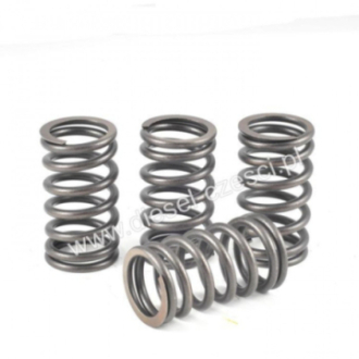 SPRĘŻYNA ZAWOROWA DEUTZ...