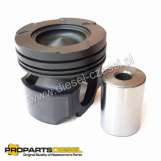 PISTON WITH PIN AND CLIPS...