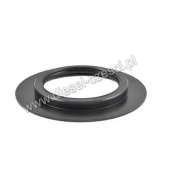 CRANKSHAFT OIL SEAL REAR...