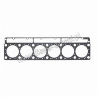 USZCZELKA GŁOWICY...