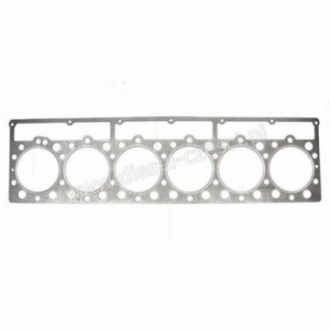 USZCZELKA GŁOWICY...