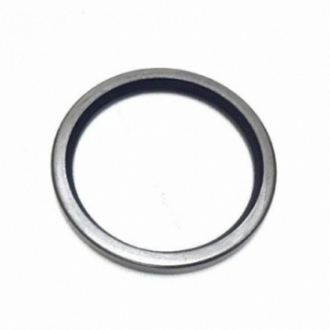 CUMMINS, THERMOSTAT SEAL