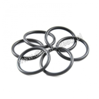CUMMINS, O-RING