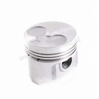 PISTON WITH PIN & CLIPS...
