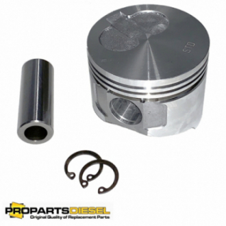 PISTON WITH PIN AND CLIPS...