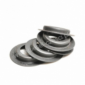 CUMMINS K19, GUIDE VALVE...